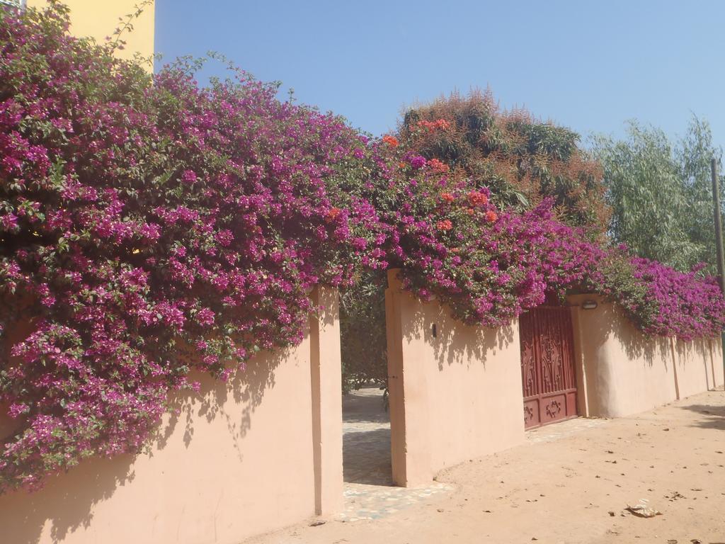 Sanchaba Yellow Apartments Kololi Exterior foto